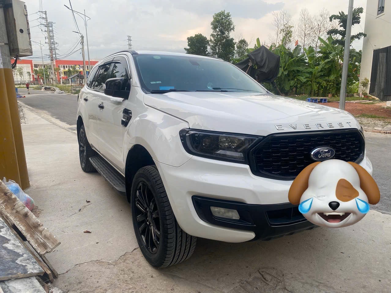 Car360 cover