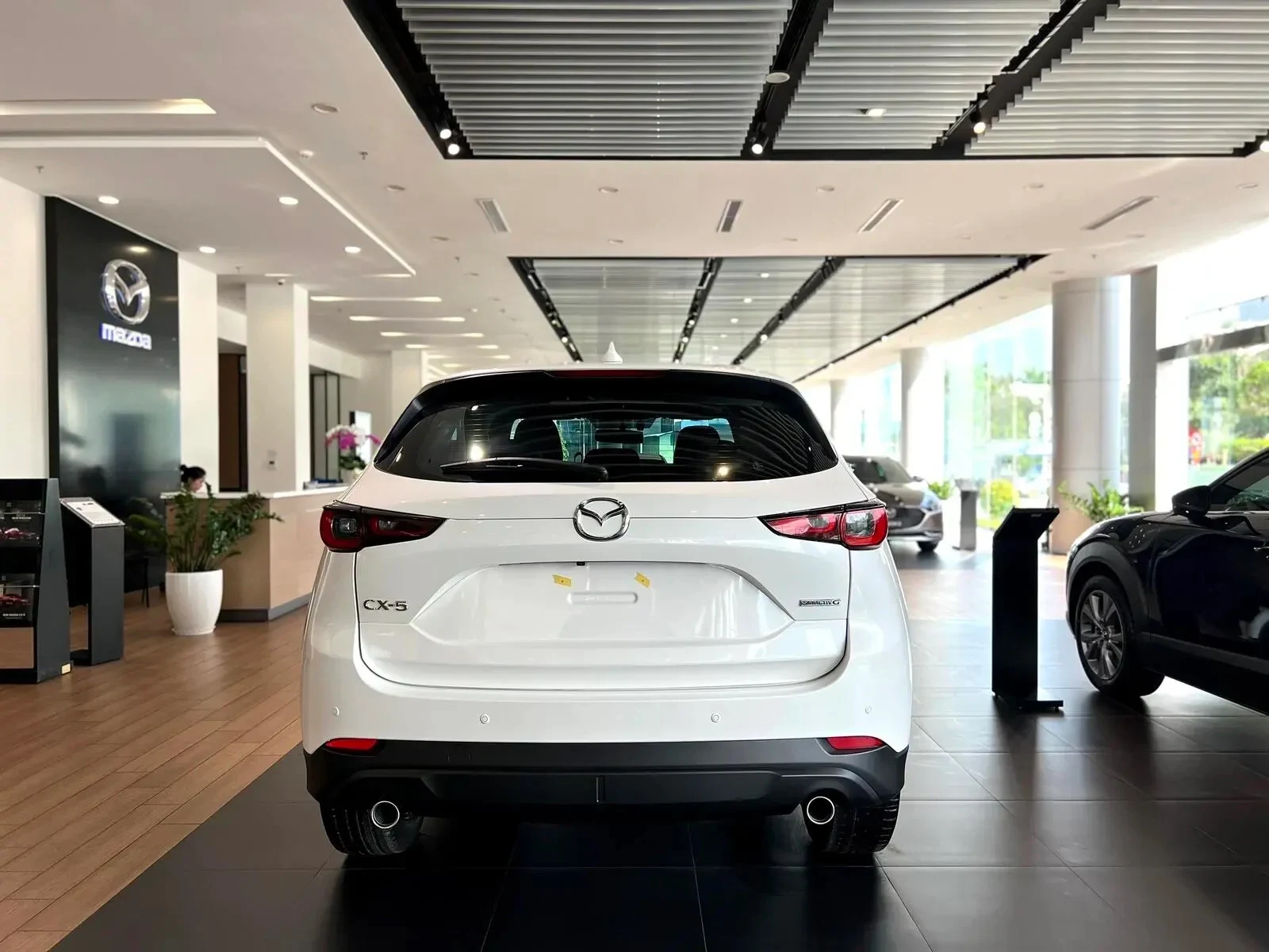 Car360 cover